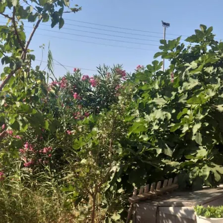 Appartement Patoliko *