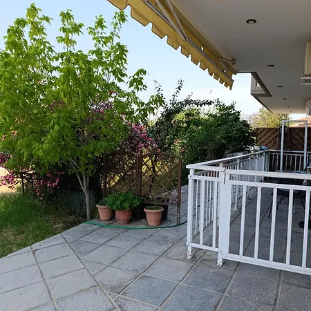 Patoliko * Nea Moudania