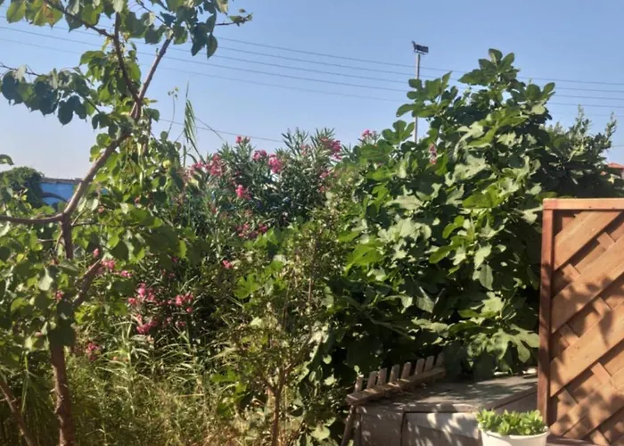 Appartement Patoliko *