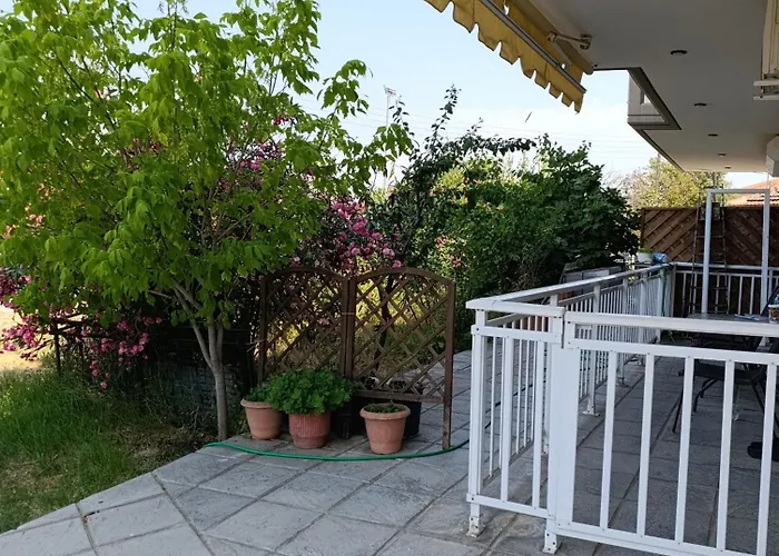 Patoliko * Nea Moudania