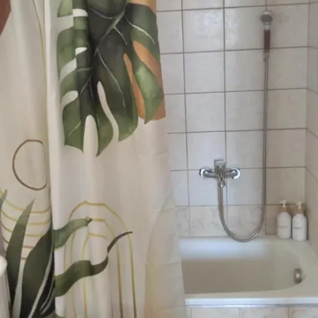 アパート Patoliko ネア・ムダニア